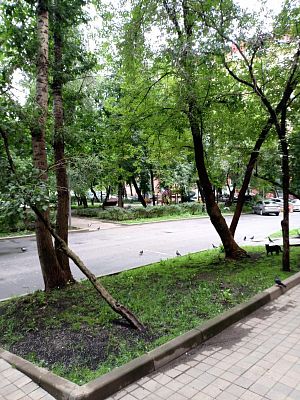 Купить квартиру г Москва, Фрунзенская наб, д 40 55900000 рублей
