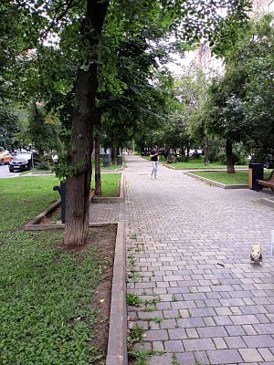 Купить квартиру г Москва, Фрунзенская наб, д 40 55900000 рублей