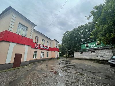 Снять гараж Московская обл, г Серпухов, ул Физкультурная, д 6 110000 рублей