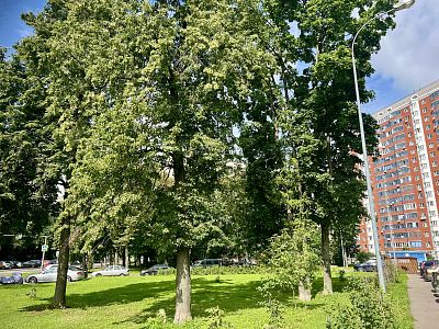 Купить квартиру г Москва, Ясный проезд, д 16 15500000 рублей