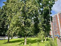 Купить квартиру г Москва, Ясный проезд, д 16 15500000 рублей