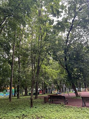 Купить квартиру г Москва, ул Широкая, д 16 19400000 рублей