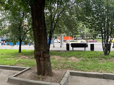 Купить квартиру г Москва, ул Широкая, д 16 19400000 рублей