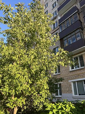 Купить квартиру г Москва, ул Молодцова, д 31 к 1 20000000 рублей