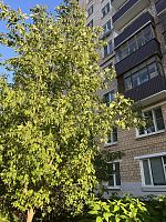 Купить квартиру г Москва, ул Молодцова, д 31 к 1 20000000 рублей