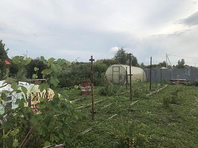 Купить земельный участок городской округ Тюмень, СНТ Фиалка, 2-ая, д. 6 1700000 рублей