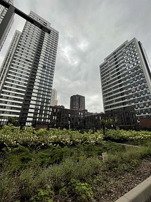 Купить квартиру г Москва, Шмитовский проезд, д 39 к 8 41990000 рублей