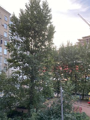 Купить квартиру г Москва, Кутузовский пр-кт, д 10 33199999 рублей