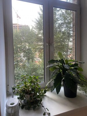 Купить квартиру г Москва, Кутузовский пр-кт, д 10 33199999 рублей