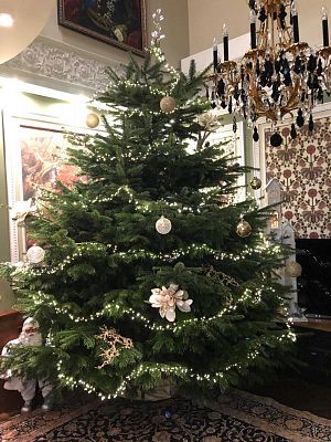 Купить дом г Видное, деревня Калиновка, ул Новая, д 24 70000000 рублей