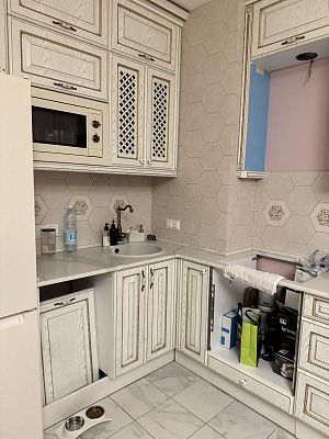 Купить квартиру г Санкт-Петербург, Петровский пр-кт, д 24 к 3 стр 1 17700000 рублей