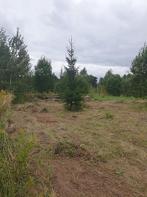 Купить земельный участок г Москва, Филимонковский р-н, деревня Ширяево, Берёзовая ал, д 25 7500000 рублей