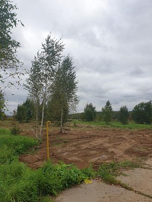 Купить земельный участок г Москва, Филимонковский р-н, деревня Ширяево, Берёзовая ал, д 25 7500000 рублей