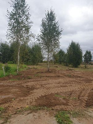 Купить земельный участок г Москва, Филимонковский р-н, деревня Ширяево, Берёзовая ал, д 25 9000000 рублей