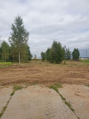 Купить земельный участок г Москва, Филимонковский р-н, деревня Ширяево, Берёзовая ал, д 25 9000000 рублей