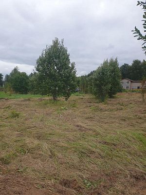 Купить земельный участок г Москва, Филимонковский р-н, деревня Ширяево, Берёзовая ал, д 25 9000000 рублей