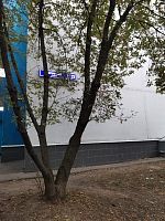 Купить квартиру г Москва, Боровское шоссе, д 21 15500000 рублей