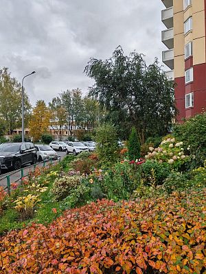 Купить квартиру г Москва, ул Авиаконструктора Петлякова, д 31 19500000 рублей