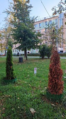 Купить квартиру г Москва, ул Доватора, д 1/28 20500000 рублей