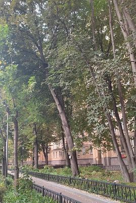 Купить квартиру г Москва, Фрунзенская наб, д 50 70000000 рублей