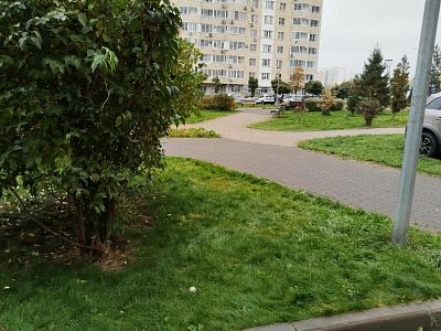 Купить квартиру г Москва, ул Самуила Маршака, д 14 10300000 рублей