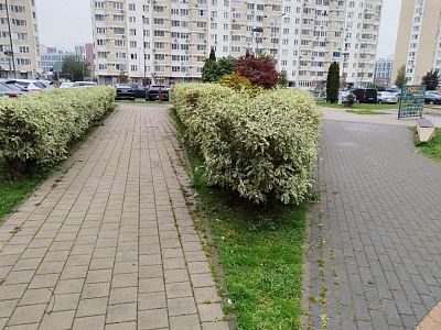 Купить квартиру г Москва, ул Самуила Маршака, д 14 10300000 рублей