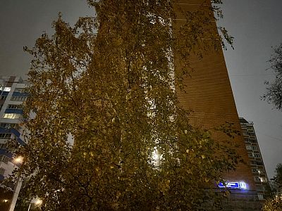Купить квартиру г Москва, Коровинское шоссе, д 7 к 3 24700000 рублей