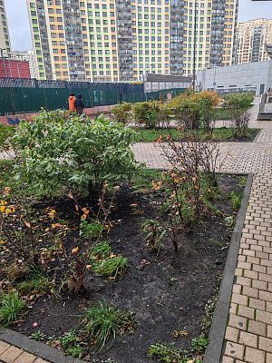 Купить квартиру г Москва, ул Анны Ахматовой, д 11 к 1 16450000 рублей
