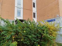 Купить квартиру г Москва, ул Бориса Пастернака, д 29 к 1 12300000 рублей