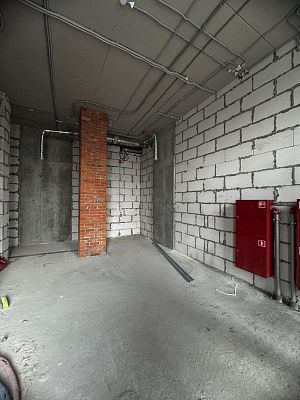 Снять в аренду помещение свободного назначения Московская область, Люберцы, улица Гоголя, 3к2 100000 рублей