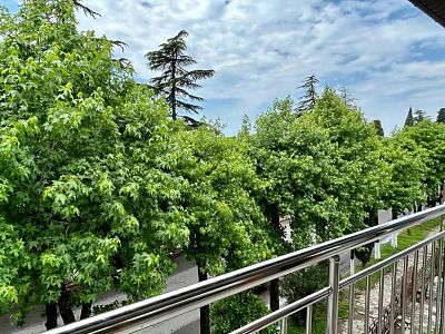 Купить готовый бизнес Гагра, проспект Ардзинба, 281 59000000 рублей