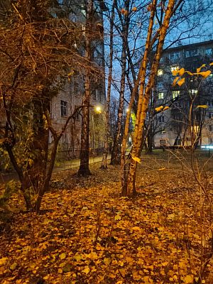 Купить квартиру г Москва, Ленинский пр-кт, д 71 29400000 рублей