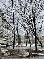 Фото 3. 