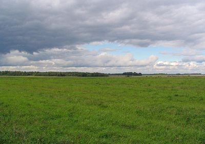Купить земельный участок Калининградская область, Мамоновский городской округ, посёлок Зеленодольское 1300000 рублей