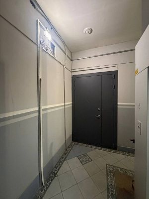Купить квартиру г Санкт-Петербург, ул Куйбышева, д 36 40000000 рублей