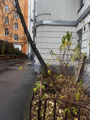 Купить квартиру г Москва, ул Тимура Фрунзе, д 18 52000000 рублей