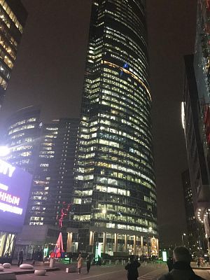 Купить квартиру г Москва, Пресненская наб, д 8 стр 1 183000000 рублей