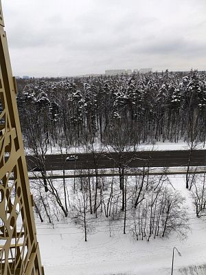 Купить квартиру г Москва, б-р Андрея Тарковского, д 10 13500000 рублей