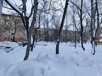 Купить квартиру г Москва, ул Парковая 3-я, д 30 13100000 рублей
