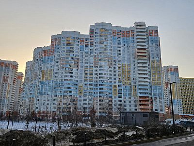 Купить квартиру г Мытищи, ул Борисовка, д 28А 10600000 рублей