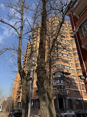 Купить квартиру г Москва, ул Кастанаевская, д 17 70000000 рублей