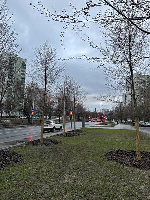 Купить квартиру г Москва, ул Лескова, д 17А 17700000 рублей