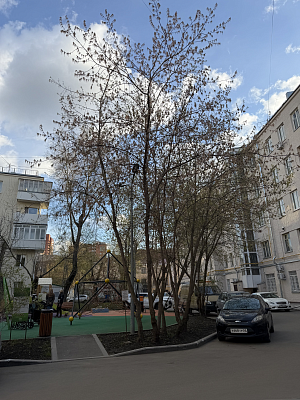 Купить квартиру г Москва, Орлово-Давыдовский пер, д 2/5 к 3 55000000 рублей