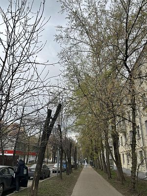 Купить квартиру г Москва, ул Ивовая, д 7 25990000 рублей