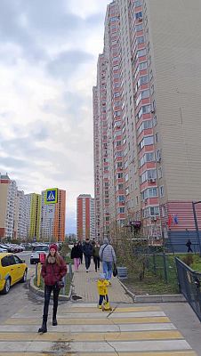 Купить готовый бизнес г Красногорск, пгт Путилково, Спасо-Тушинский б-р, д 8 17900000 рублей