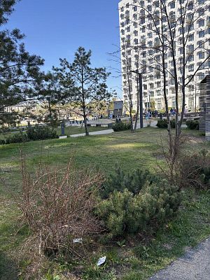 Купить квартиру г Москва, Боровское шоссе, д 2 к 5 23500000 рублей