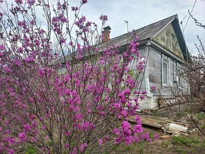 Купить дом село Корсаково-1, ул Набережная, д 28 4800000 рублей