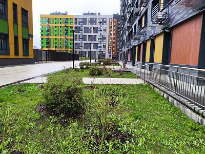 Купить квартиру г Москва, ул Рябиновая, д 3 к 2 31500000 рублей