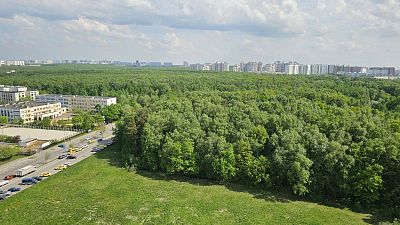 Купить квартиру г Москва, Ленинский пр-кт, д 139 69500000 рублей