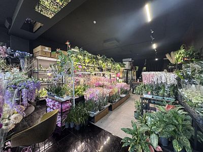 Купить помещение свободного назначения г Москва, ул Россолимо, д 6/25 105000000 рублей
